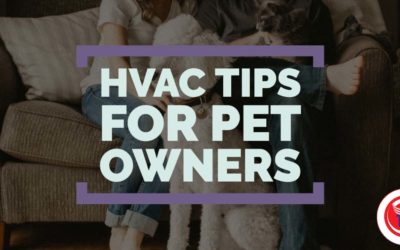 HVAC Maintenance For Pet Owners